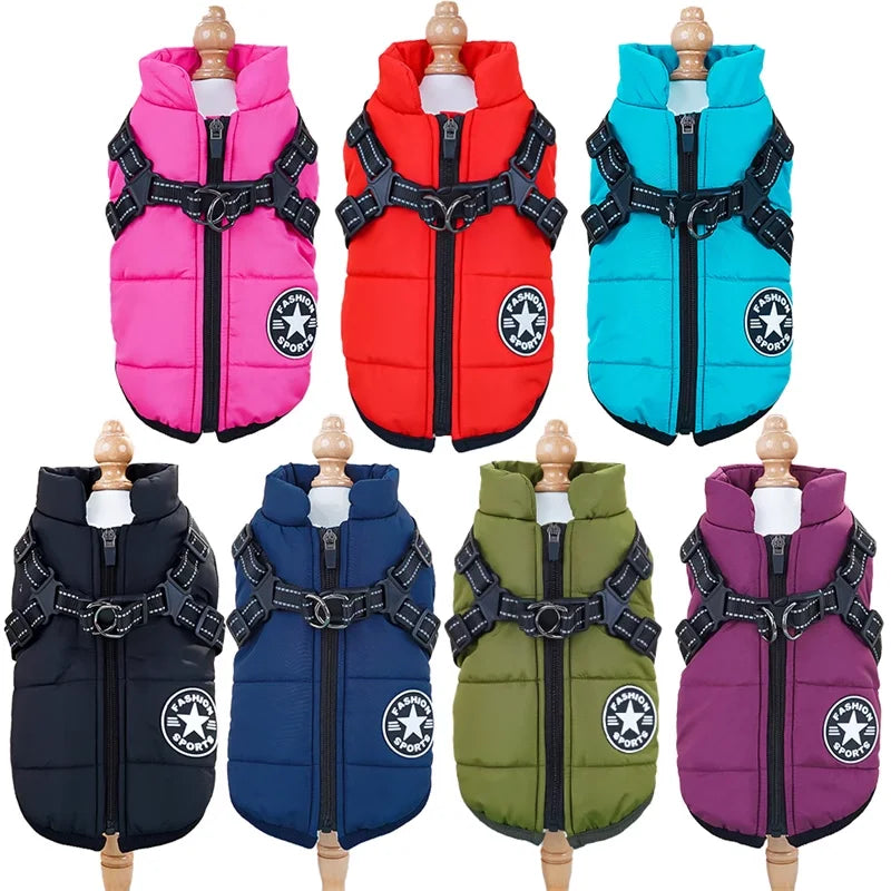Pet Dog Winter Jacket with Harness