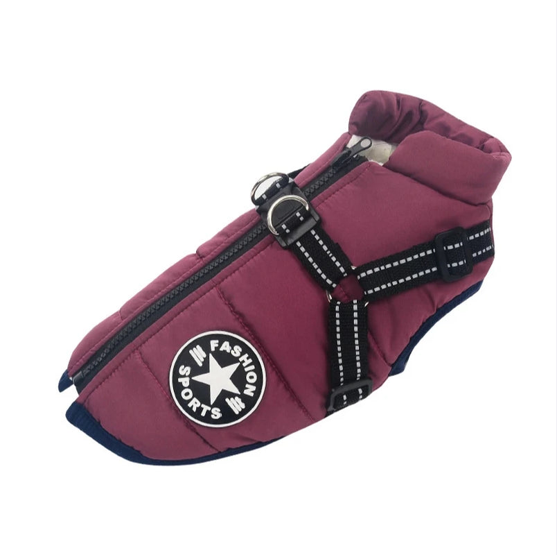 Pet Dog Winter Jacket with Harness