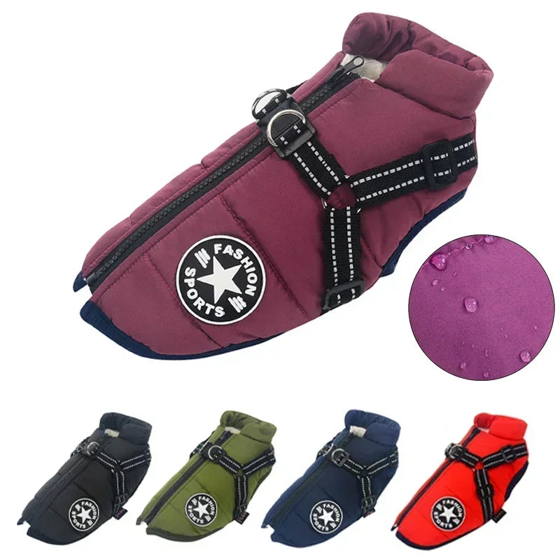 Pet Dog Winter Jacket with Harness