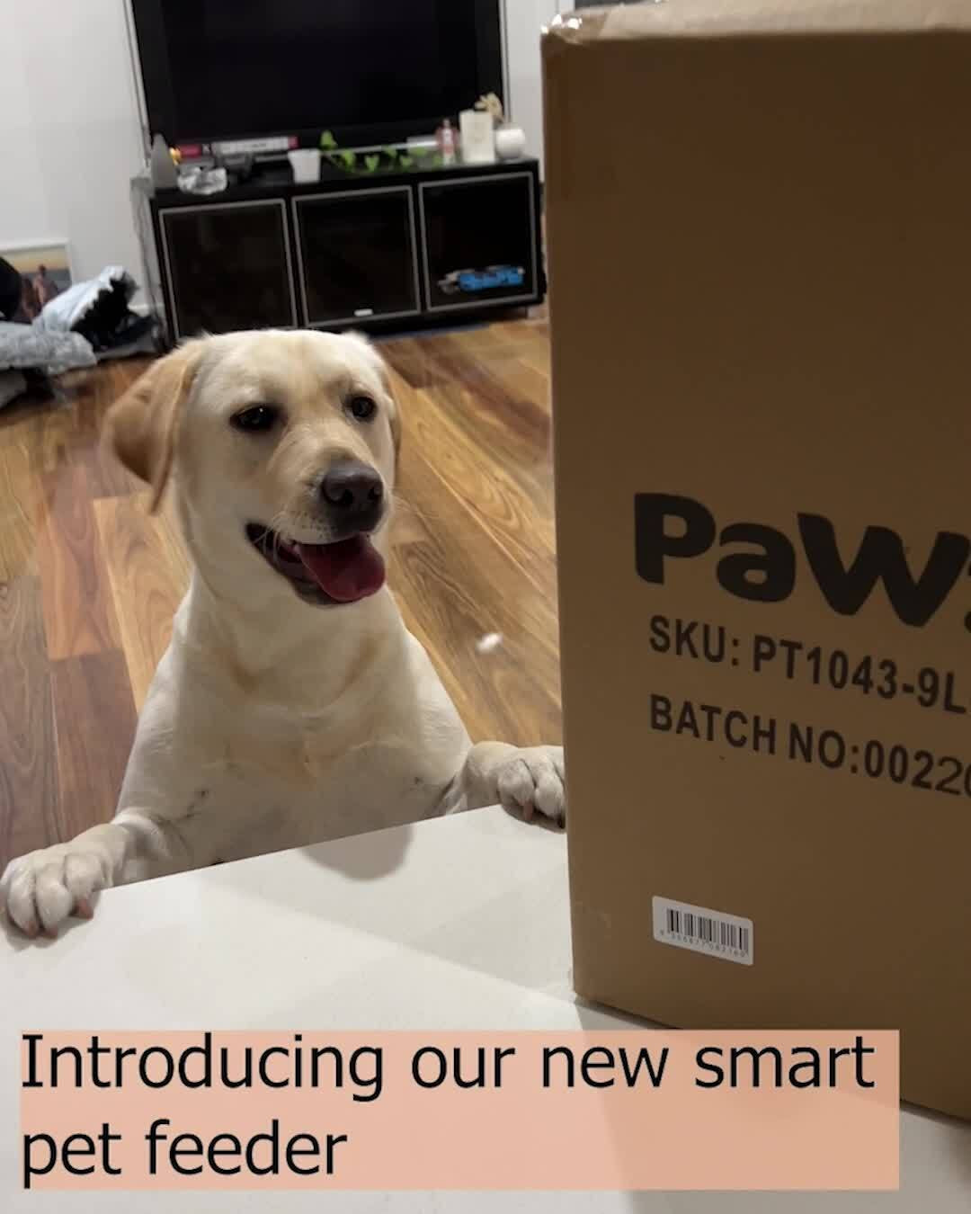 Pawz 9L Auto Pet Feeder Automatic Camera Cat Dog Smart Wifi App Food Dispenser