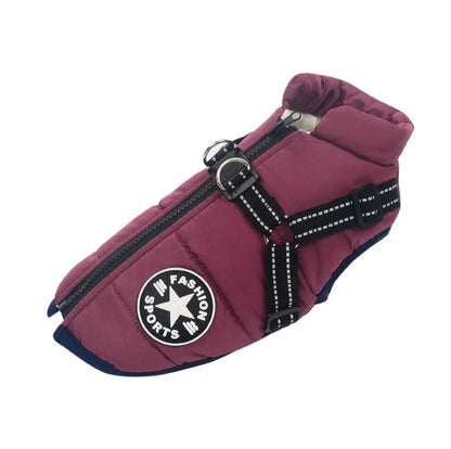 Pet Dog Winter Jacket with Harness 