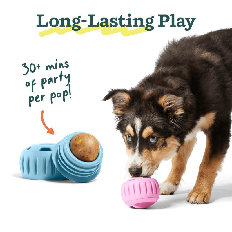 Pupsicle Party Pack - Pupsicle + Pops