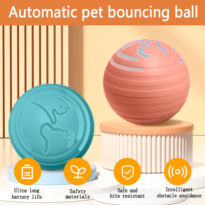 2-In-1 Auto-Rolling Cat Toy & Dog Chase Ball with Motion Sensor️