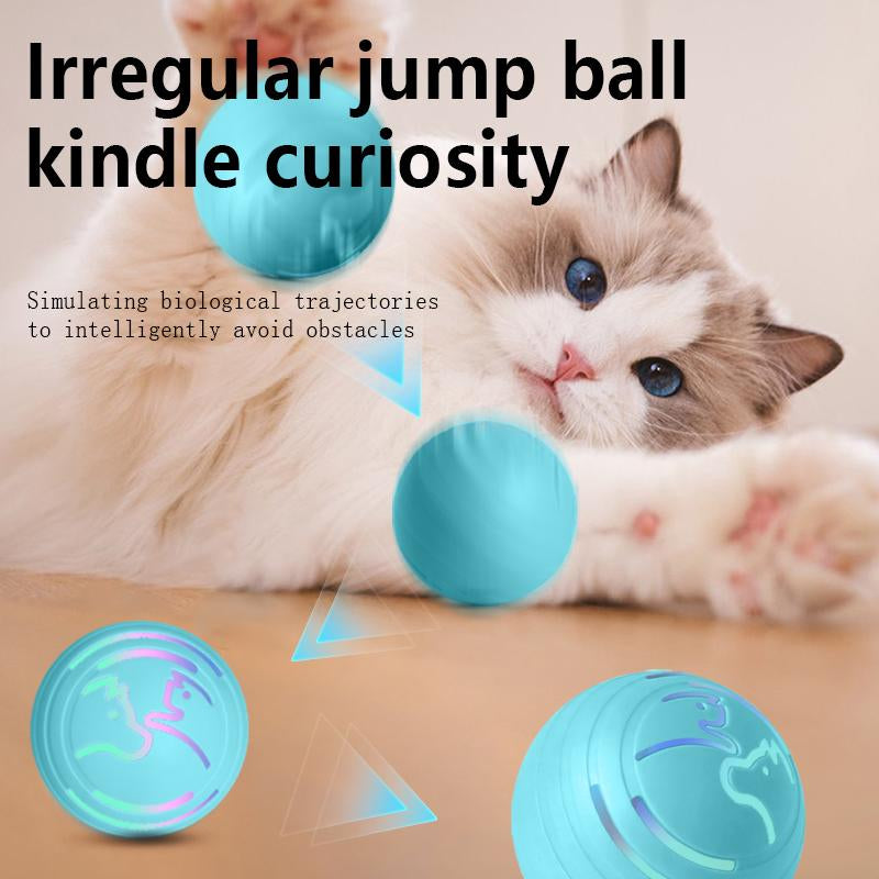 2-In-1 Auto-Rolling Cat Toy & Dog Chase Ball with Motion Sensor️