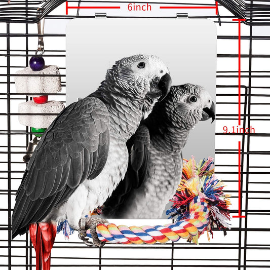 9" Bird Mirror with Rope Perch, Bird Swing